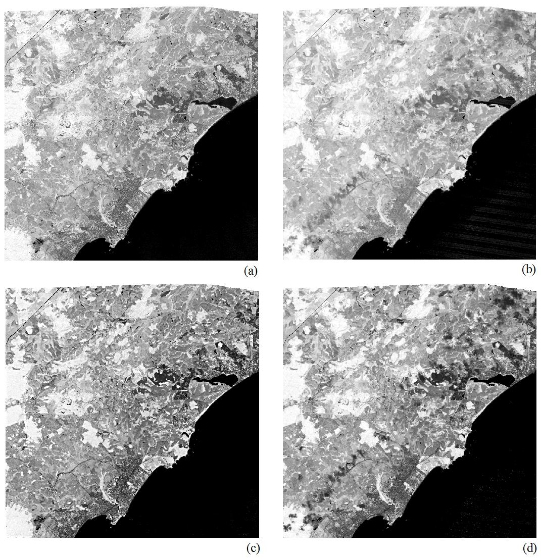 NDVI = (NIR - R) / (NIR + R) (5) Onde, NIR = reflectância espectral da banda do sensor na faixa do infravermelho próximo; R = reflectância espectral da banda do sensor na faixa do vermelho.