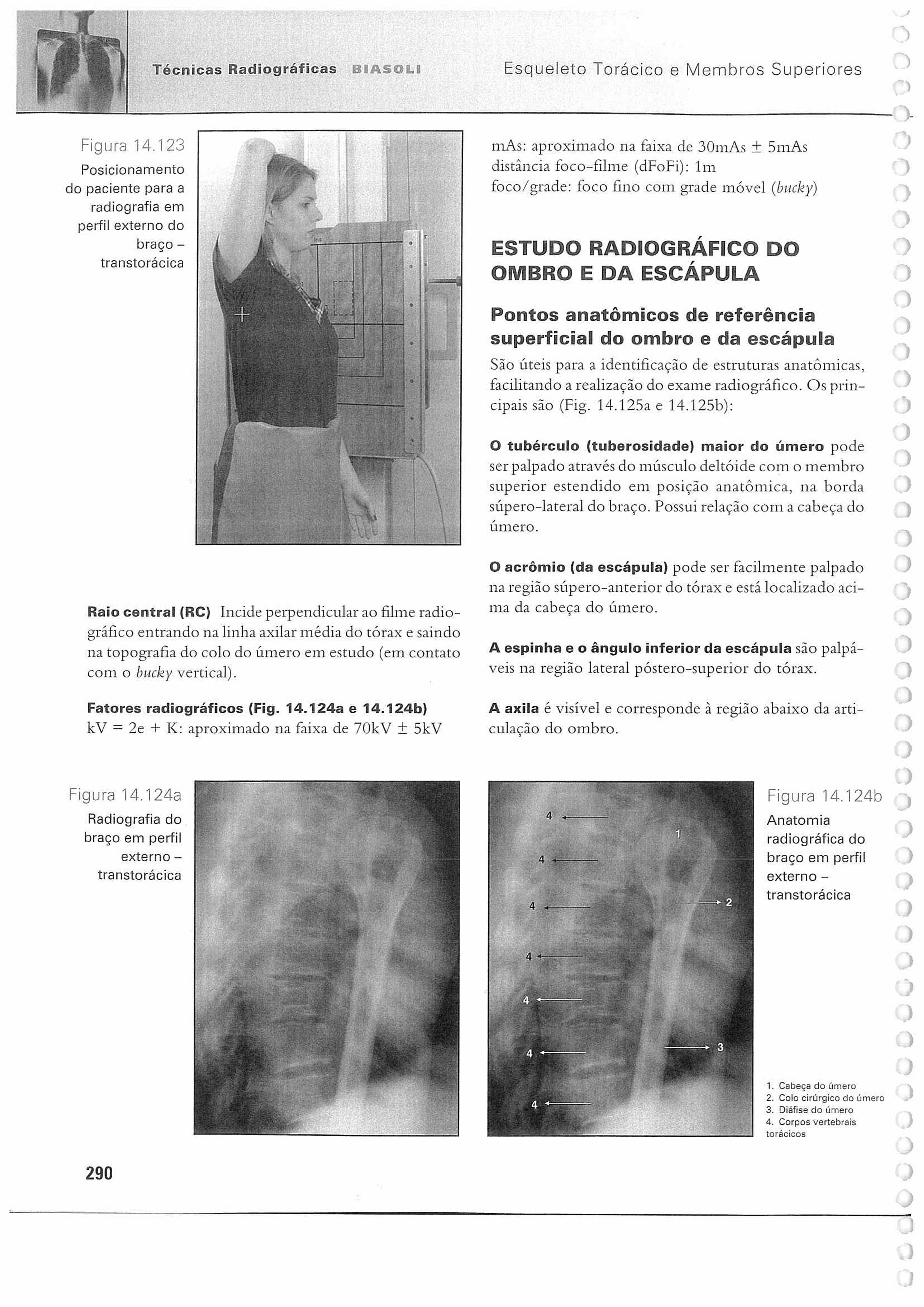 Técnicas Radiográficas BIASOLI Esqueleto Torácico e Membros Superiores Figura 14.