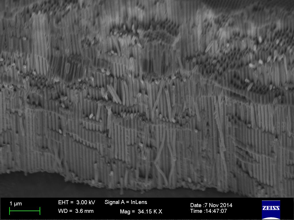 Figura 4.17: Imagem de MEV em vista lateral para amostra A2Co, revelando os nanofios de cobalto.