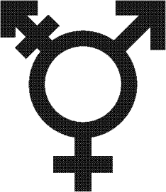 SÍMBOLOS Bandeira do Orgulho Transgênero identificada no começo deste guia. Borboleta simboliza a metamorfose, de lagarta para quem a pessoa realmente é.