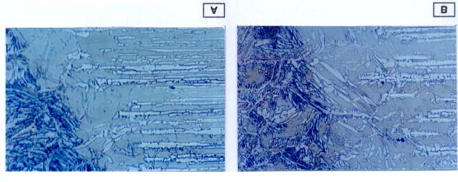 Figura 2- Microestruturas do passe de raiz das juntas soldadas com 0,6 kj/mm. M.O. Aumento: 250x. Ataque eletrolítico: HNO 3. A=1 passe; B=2 passes.