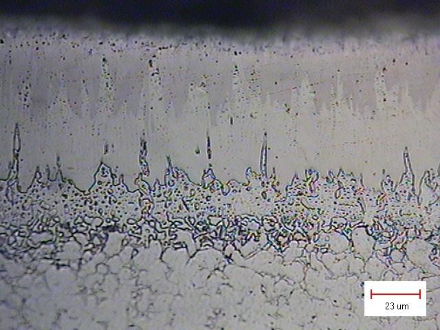 62 Figura 37 Micrografia óptica mostrando a formação da camada de boretos para o aço H13 na condição de boretação com pó Ekabor.