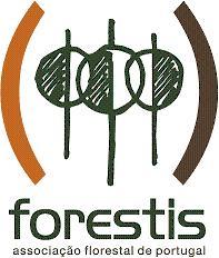 Focus Group IV Sustentabilidade Energética na Agricultura e Florestas Promoção do uso