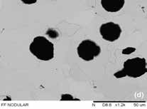 Estudo da morfologia e da dureza, por microindentação vickers, do ferro fundido nodular Figura Imagens da Microscopia Óptica, obtidas pelo Microscópio Metalográfico Invertido Opton TNM-07T-PL do