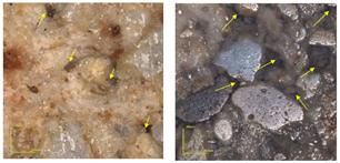 3.2 Análise Microestrutural dos Suportes Cerâmicos Confeccionados A Figura 5 mostra as superfícies planas dos suportes cerâmicos das formulações F1, F2, F3 e F4, obtidas no microscópio confocal.