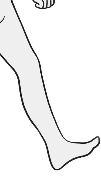 6 Ortopedia e traumatologia: princípios e prática Figura 1.3 > O primeiro mecanismo de rolamento dos tornozelos acomoda a planta dos pés ao solo.