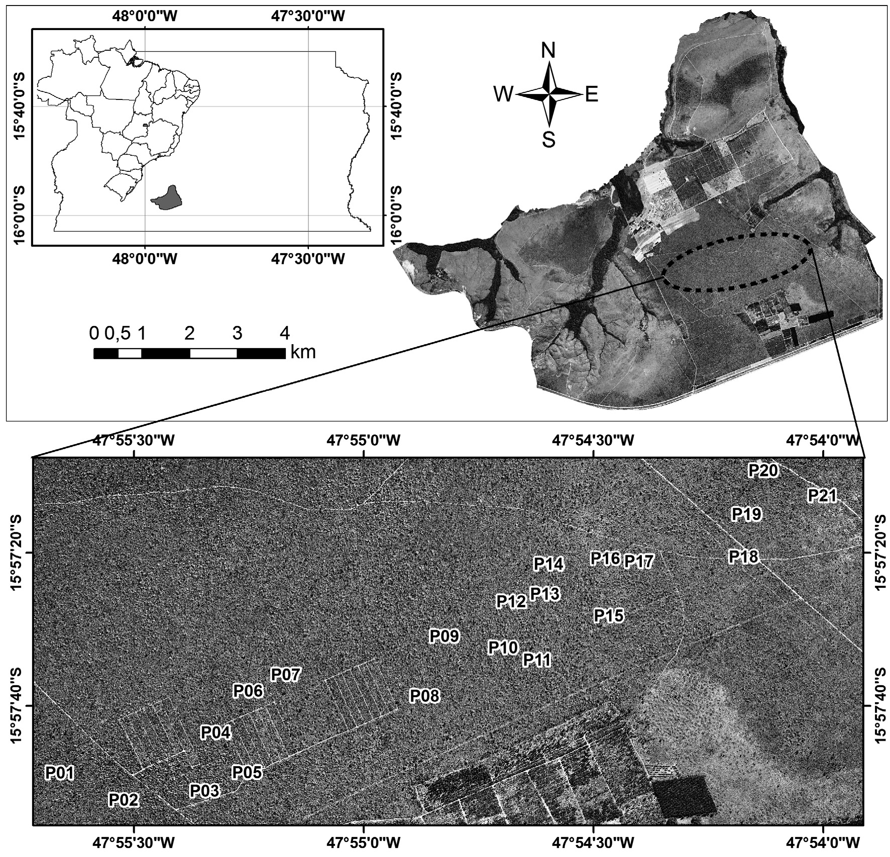 4 Almeida, R.F. et al.