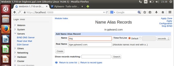 O resultado deverá ser algo idêntico Podemos também definir um nome alternativo acedendo Name Alias dentro da interface Edit Master Zone.
