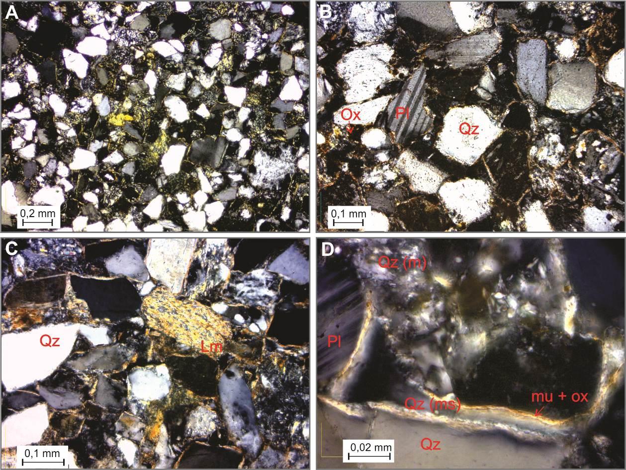 125 preenche espaços intergranulares posteriormente ao cimento ferruginoso associado à muscovita e/ou clorita (FIGURA 7.3d).