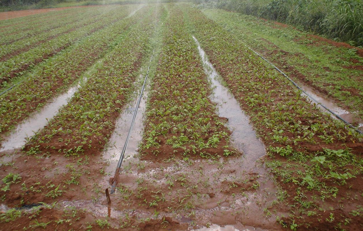 Irrigação Proteção Sistema para de Faz cabeçal irrigação