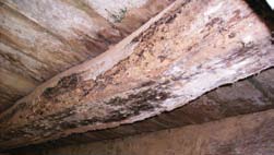 detalhamento do estado de conservação Os telhados em meia água dos alpendres avarandados e da porta da copa, mostram fragilidade na estrutura, com falhas na cobertura e telhas descalçadas, sendo que