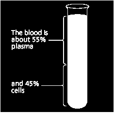 Estudo Bioquímico Técnica: centrifugação em alta velocidade (1500 rpm) de um pequeno volume de sangue c/ anticoagulante dentro de um tubo graduado HEMATÓCRITO = percentual (volume) de hemácias