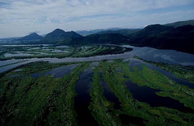 Ambientes associados aos cursos d água e aos ciclos de cheia/vazante, tais como as baias, as lagoas e os corixos dos rios Araguaia, Paraguai e Guaporé e seus afluentes Áreas de grande complexidade