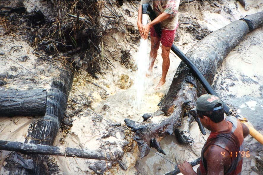 MEIO FÍSICOF GEOLOGIA Unidades Geológicas Material de origem dos ambientes naturais