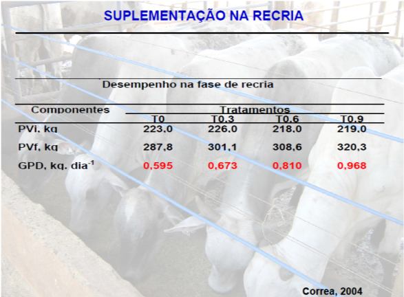 Seleção de animais: desempenho Raça Sexo Idade Peso (categoria) Não adianta querer confinar um animal que não responderá no confinamento Seleção de animais: desempenho Ganho Compensatório = ganho