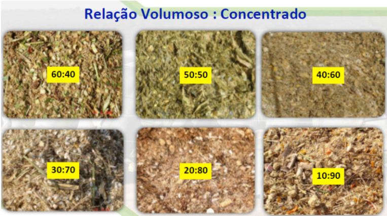 EVOLUÇÃO DO CONFINAMENTO NO BRASIL Maior oferta de grãos e co-produtos Custo da energia do concentrado x volumoso