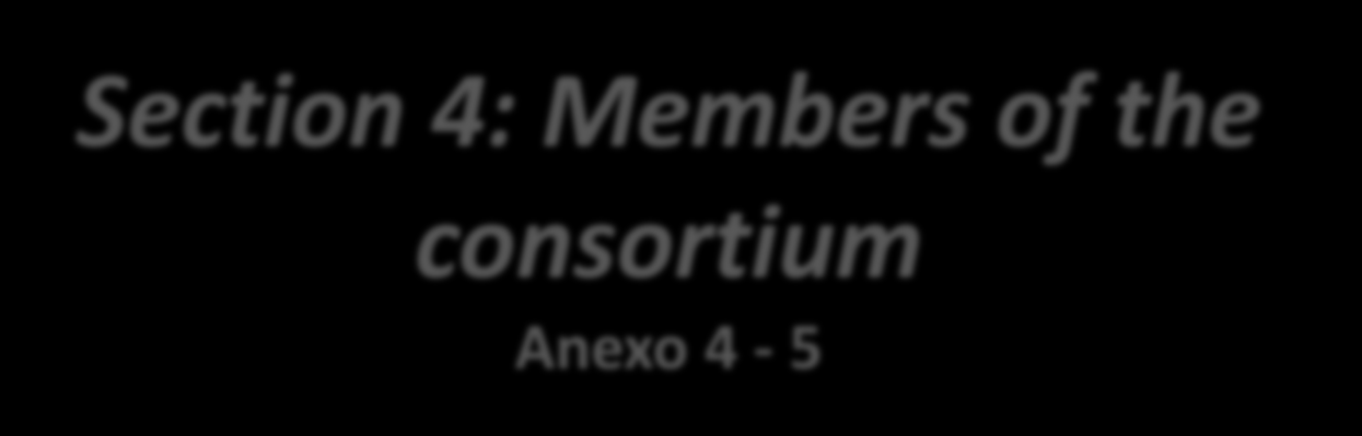 Section 4: Members of the consortium Anexo 4-5 Section 4: Members of the consortium 4.1.