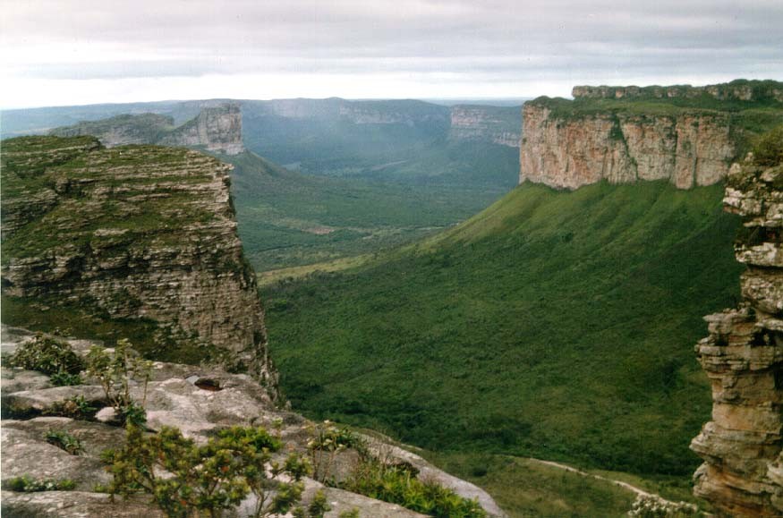 Rochas sedimentares na crosta terrestre Celso Dal Ré
