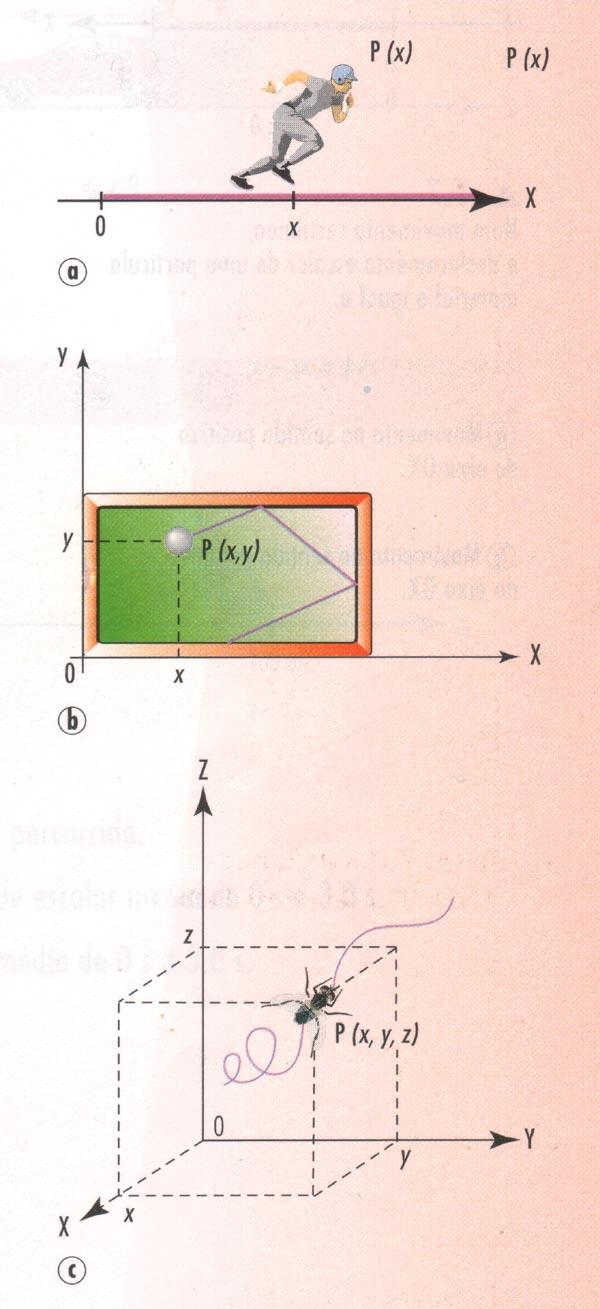 Posição A posição de uma partícula material P pode ser definida pela suas coordenadas cartesianas num sistema de eixos