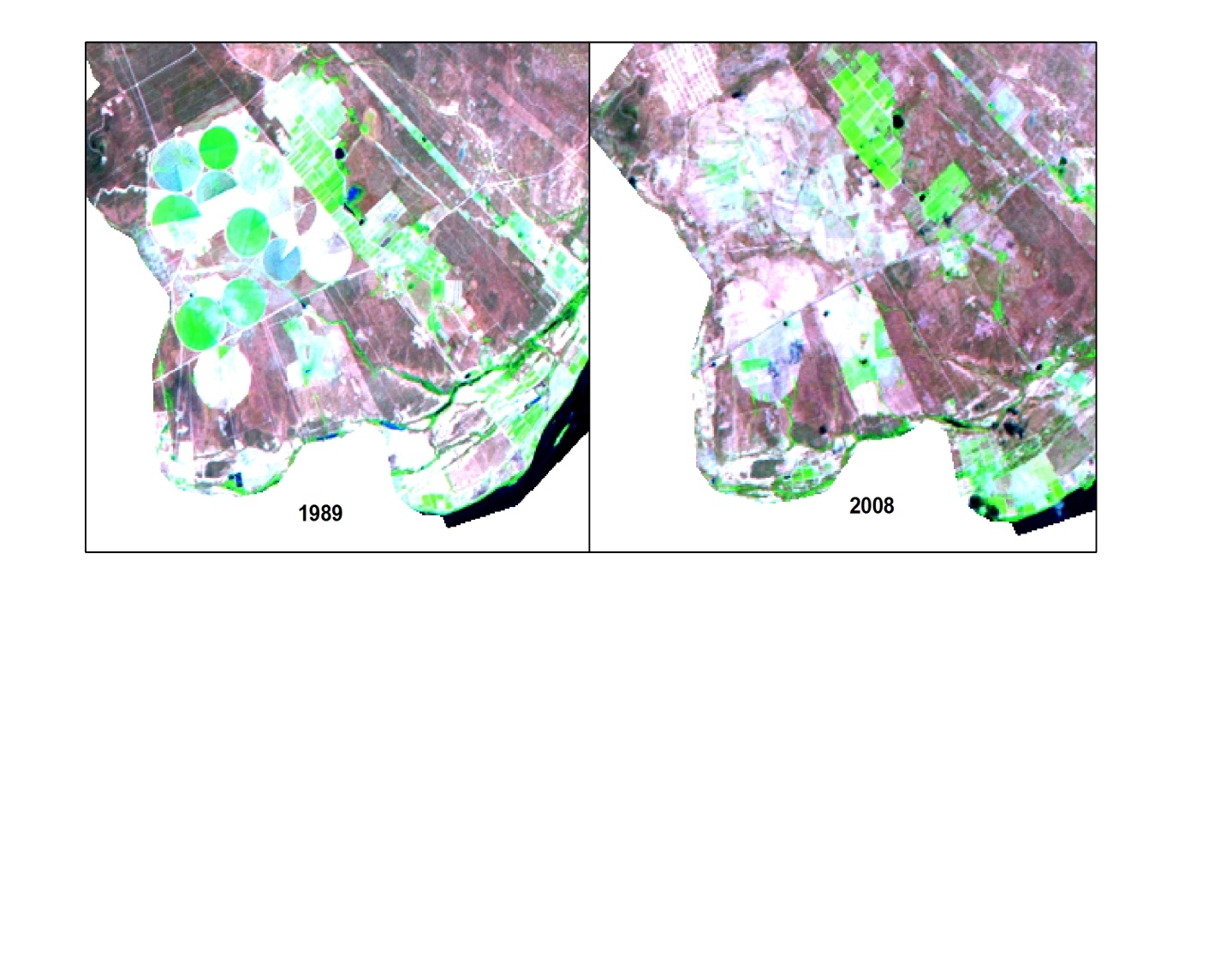 Figura 5. Recorte da imagem comparação da evolução das áreas irrigadas. Na mancha branca da Figura 6, apresenta-se a expansão da área urbana de 1989 e 2008.
