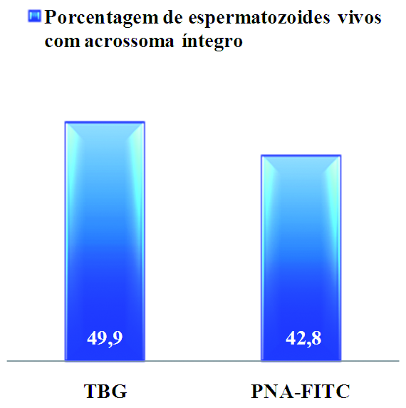 Técnica de coloração com peanut agglutinin (PNA) - isoticianato de fluoresceína (FITC) para avaliação de integridade do acrossoma de espermatozoides bovinos 17 Estudo comparativo entre FITC-PNA, Azul