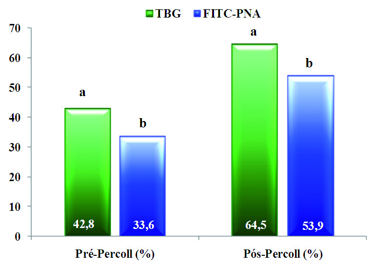 18 Técnica de coloração com peanut agglutinin (PNA) - isoticianato de fluoresceína (FITC) para avaliação de integridade do acrossoma de espermatozoides bovinos Em ambos os momentos, a avaliação com a