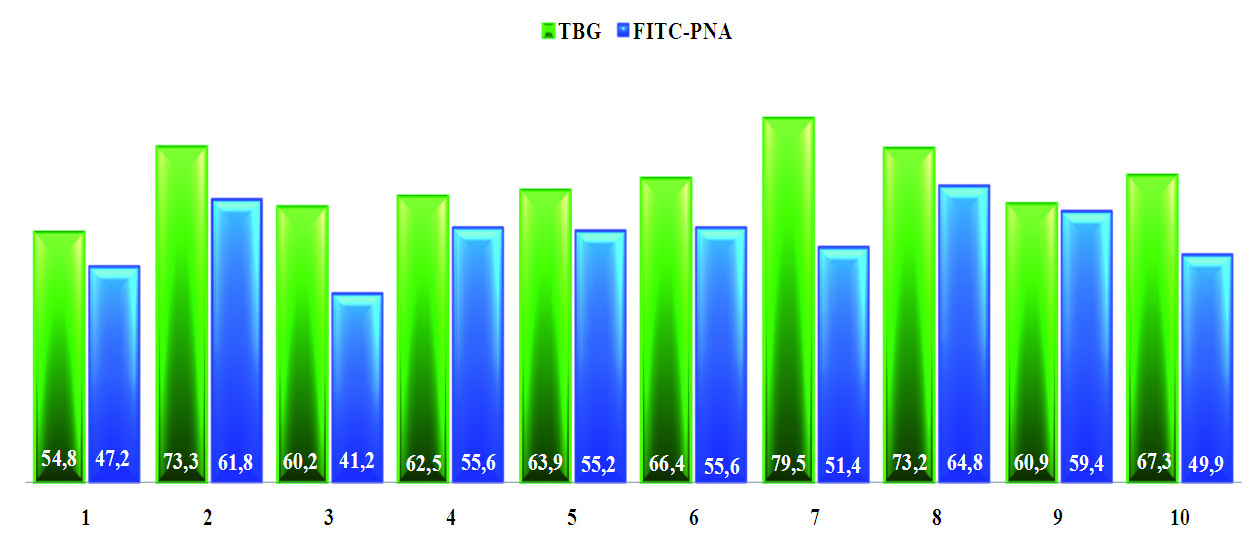 Técnica de coloração com peanut agglutinin (PNA) - isoticianato de fluoresceína (FITC) para avaliação de integridade do acrossoma de espermatozoides bovinos 19 Figura 10.