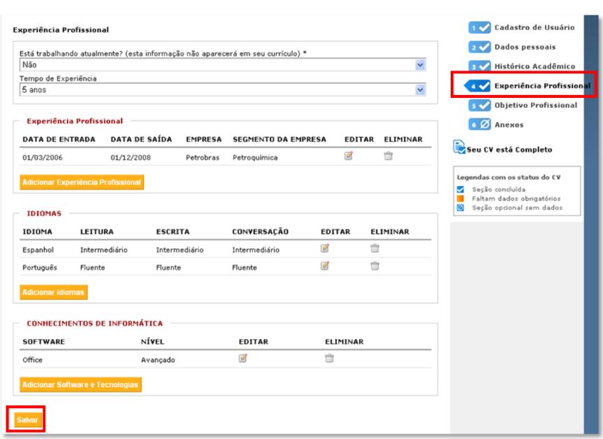 Em Experiência profissional, complete os campos de Experiências, Idiomas e Conhecimentos de informática.