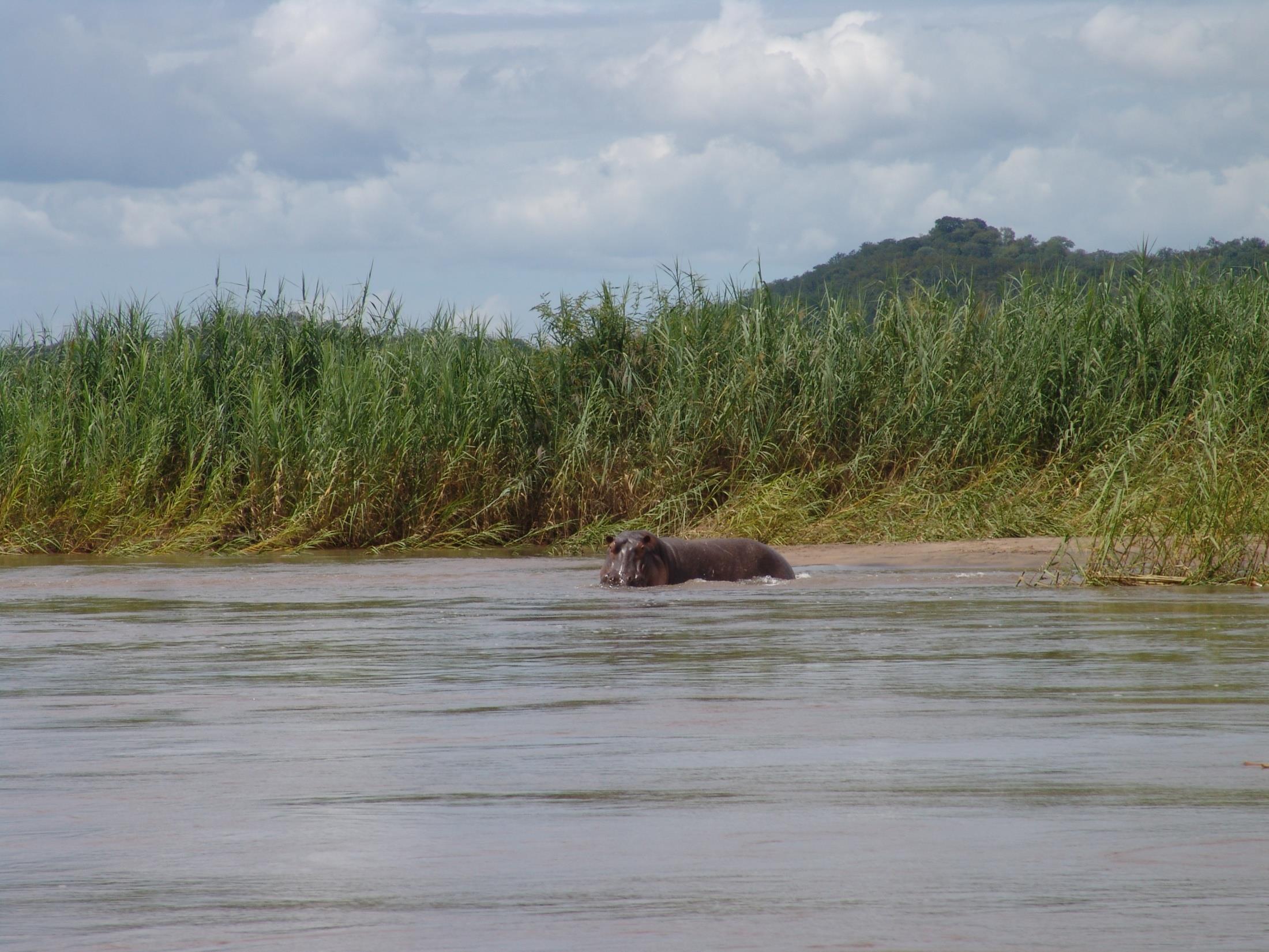 Zambeze,