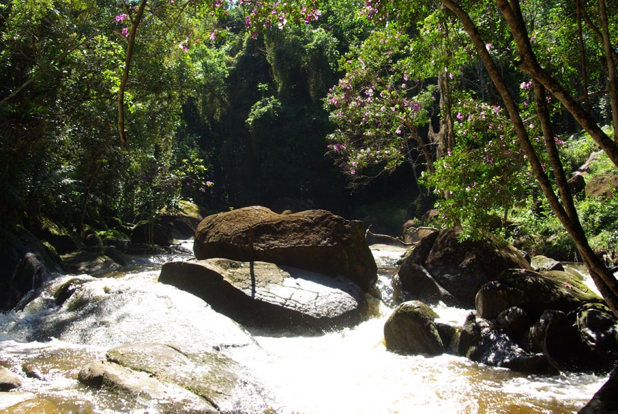 5 O Alto Juquiá é uma ótima alternativa para quem já praticou rafting no Juquiá, pois o percurso conta com corredeiras mais desafiadoras.