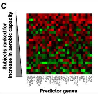 Bases Moleculares da Adaptação ao Exercício pulso de RNA como precursor da adaptação do tecido muscular Egan B ME & Zierath JR, Cell Metabolism, 2013 Mahoney DJ & Tarnopolsky MA, Phys Med Rehab Clin