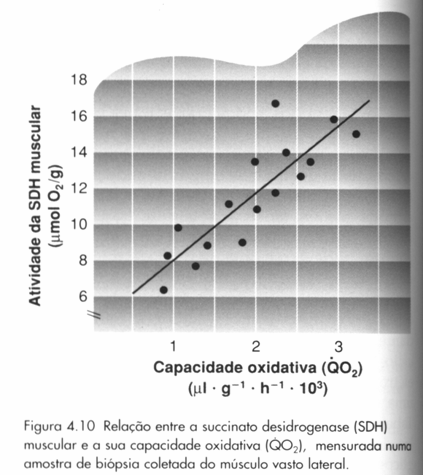 Outros Substratos Metabólicos Outros Substratos Metabólicos Catabolismo do Glicerol= 19 ATP Catabolismo do AGL nas mitocôndrias (β-oxidação) = 146 ATP 438 ATP Total= 457 ATP/ mol Oxidação das