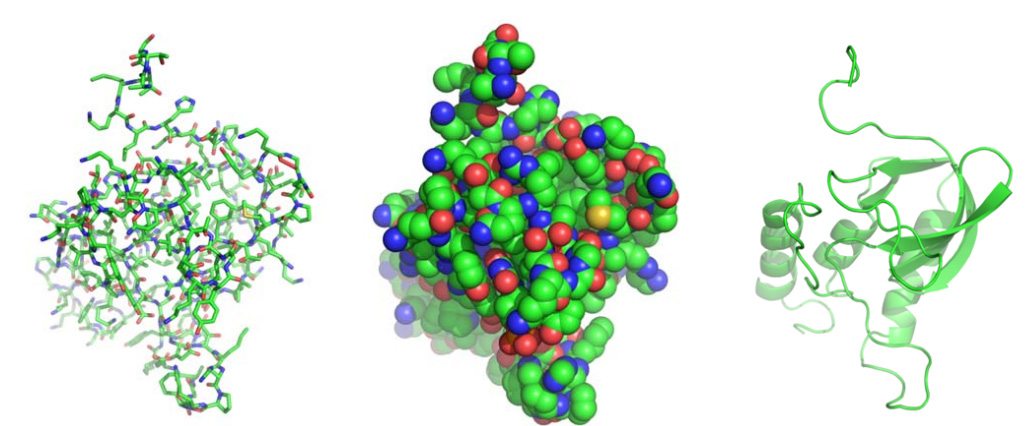 Representações Moleculares Os cientistas desenvolveram vários esquemas para a visualização e representação de proteínas e ácidos nucleicos.