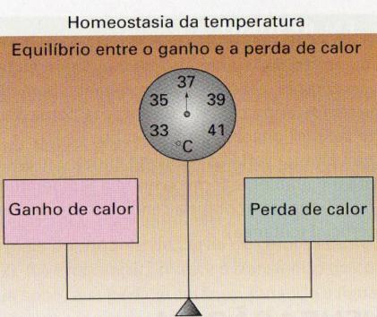 Equilíbrio térmico durante o exercício Objetivo da termorregulação?