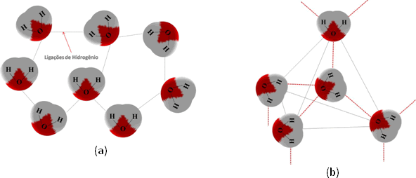 Ligação de hidrogênio Fig. 4- Estruturas do n-pentano e do neopentano.