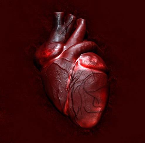 TCC em Cardiologia O adoecer do coração: simbolismos e crenças.