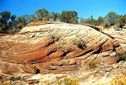 Estruturas sedimentares Estratificação cruzada Formadas por uma série de dunas ou ondulações