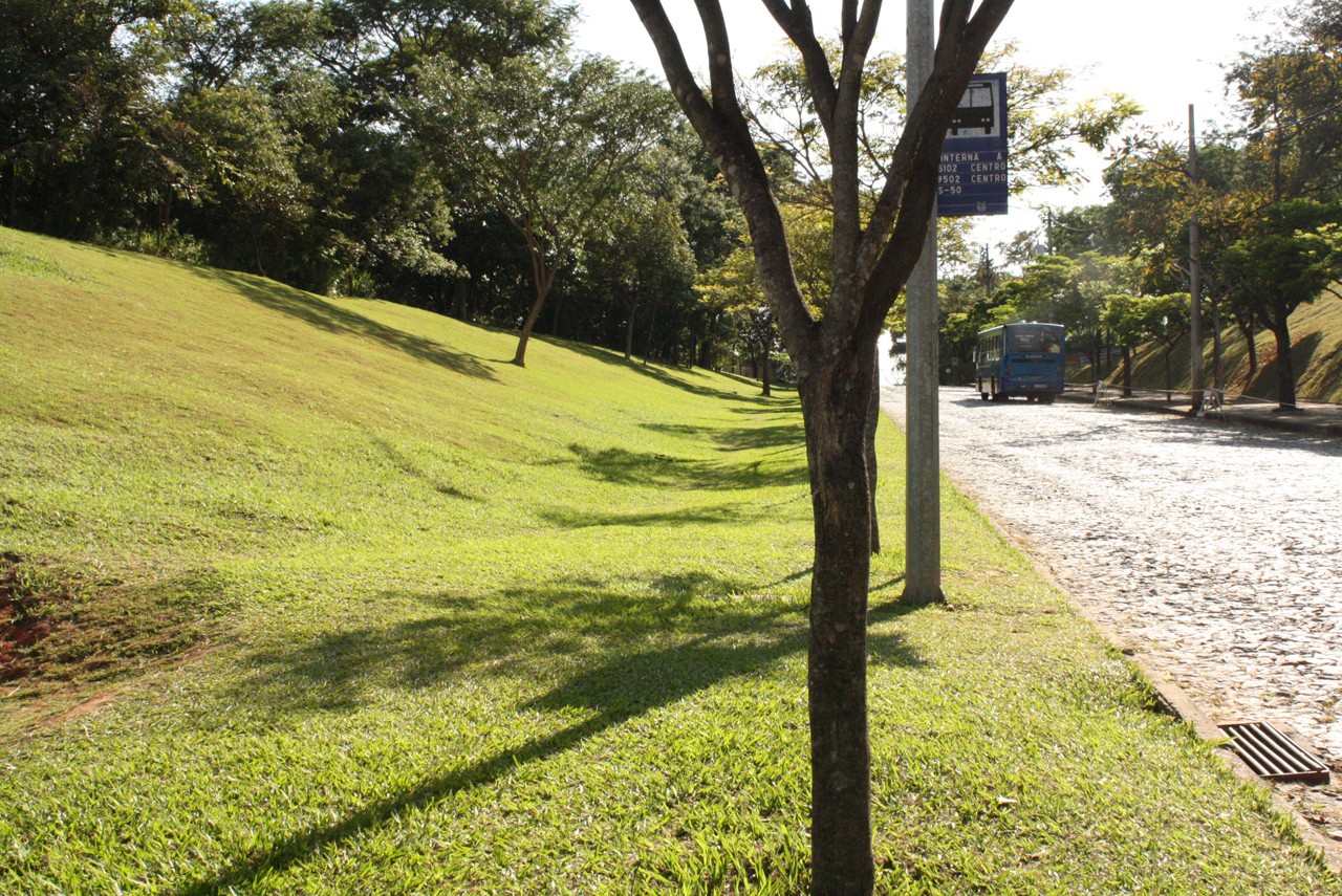 Vista da testada do terreno para a Rua Fernando Melo Viana, com a Faculdade de Educação à direita.