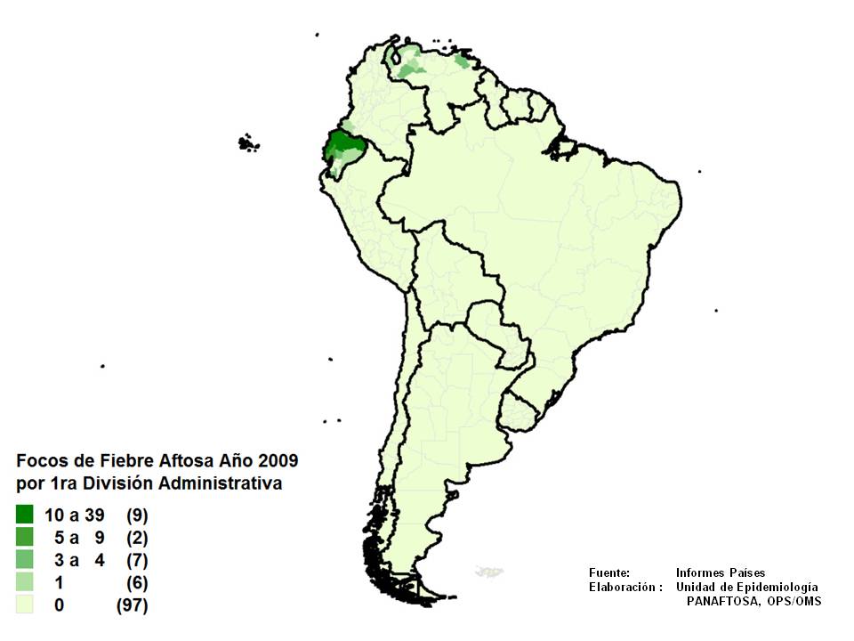 Distribuição de Focos de