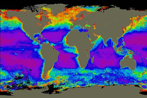 Produção primária Nas zonas de upwelling, a combinação de ventos e correntes faz ascender à superfície águas frias profundas, ricas em nutrientes, resultando em níveis elevados de plâncton, que