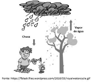 6) (0,1 ponto) A figura abaixo representa o ciclo da água num ambiente. Tendo a figura como referência e os conhecimentos adquiridos em sala, marque a alternativa correta: a.