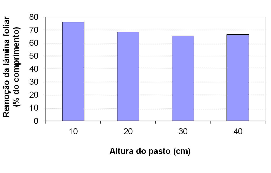 Intensidade de desfolhação A B