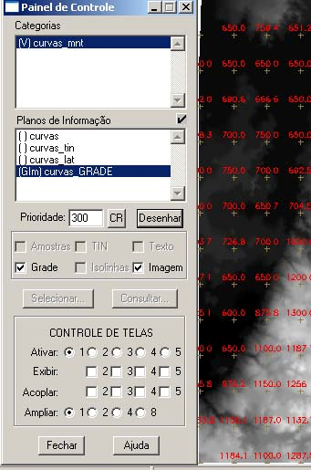 Note que no Painel de Controle, duas novas opções ficaram editáveis: GRADE e IMAGEM. A grade regular formada apresenta os valores das curvas de nível.