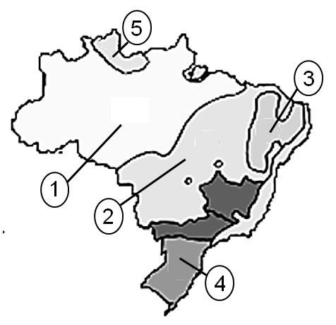 QUESTÃO 19 Leia o texto a seguir e observe atentamente o mapa onde estão delimitadas e indicadas algumas das formações climatobotânicas do Brasil.