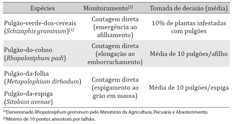 PULGÕES E PERCEVEJO BARRIGA VERDE Monitoramento e critérios para tomada de decisão no