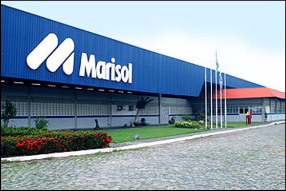 4 Caracterização da empresa A Marisol S.A. é uma das maiores indústrias nacionais no segmento de vestuário e é uma das mais importantes Brasil.