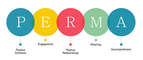 Teoria do Bem-estar/ Florescimento (Seligman, 2011) Componentes do bem-estar: 1.