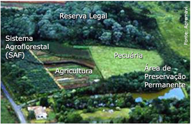 Cadastro Ambiental Rural (CAR) Beneficiário Apoiado (R$ mil) Em análise (R$ mil) Estados (Amazônia) 134.949,79 41.630,00 Estados (outros biomas) 65.043,80 75.
