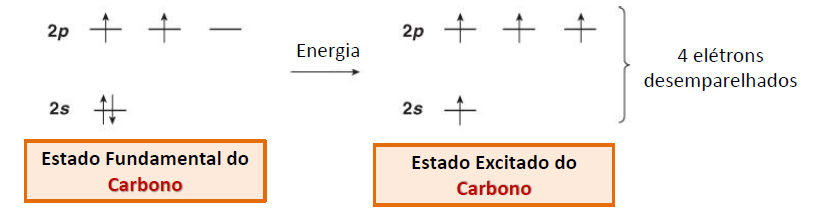 Há uma segunda possibilidade. Promoção de um elétron de um 2s para um orbital 2p vazio formaria quatro elétrons desemparelhados.