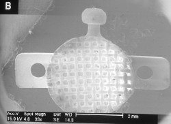 (1200x) FIGURA 8: Braquetes com remanescente de resina química (A) e física (B) após o jateamento observados no Microscópio Eletrônico de Varredura.